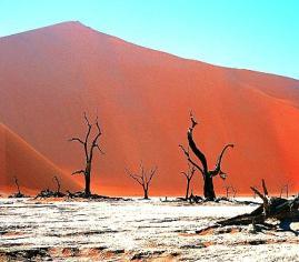 experience the well-known Dune 45 at Sossusvlei and Deadvlei.