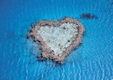 HEART REEF & WHITEHAVEN SCENIC FLIGHT This tour offers a fabulous scenic flight by seaplane over the surrounding islands, the world famous Great Barrier Reef, Heart reef and on your return the