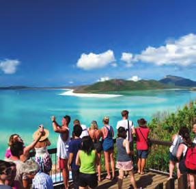 Enjoy a guided walk following the path and history of the Whitsunday traditional owners, the Ngaro people, will lead you to the lookout and