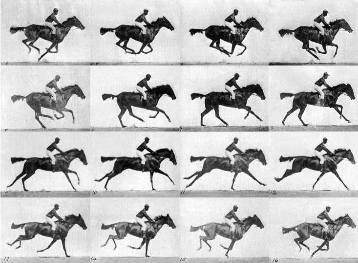 fotografija. Rezultat eksperimenta je pokret konja u trku kroz 24 fotografije, koju animatori koriste kao referencu i dan danas. [26] Slika 12.