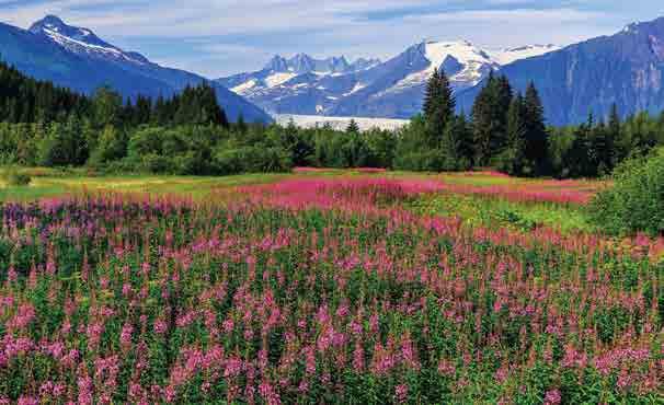 Juneau, Alaska NEW! ISLANDS & INLETS OF THE INSIDE PASSAGE VANCOUVER TO VANCOUVER, 12 days The acclaimed Inside Passage with its forest-covered islands and wildlife.
