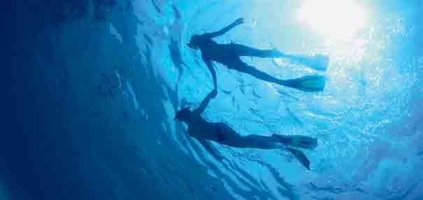 The Underwater World of The Caribbean WINDSTAr S DIVE AND SNORKELING PROGRAM Windstar has created a comprehensive program that will show you the best of the Caribbean s underwater world, and snorkel