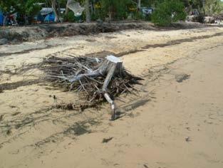 foreshore (as a result of beach erosion) are utilised