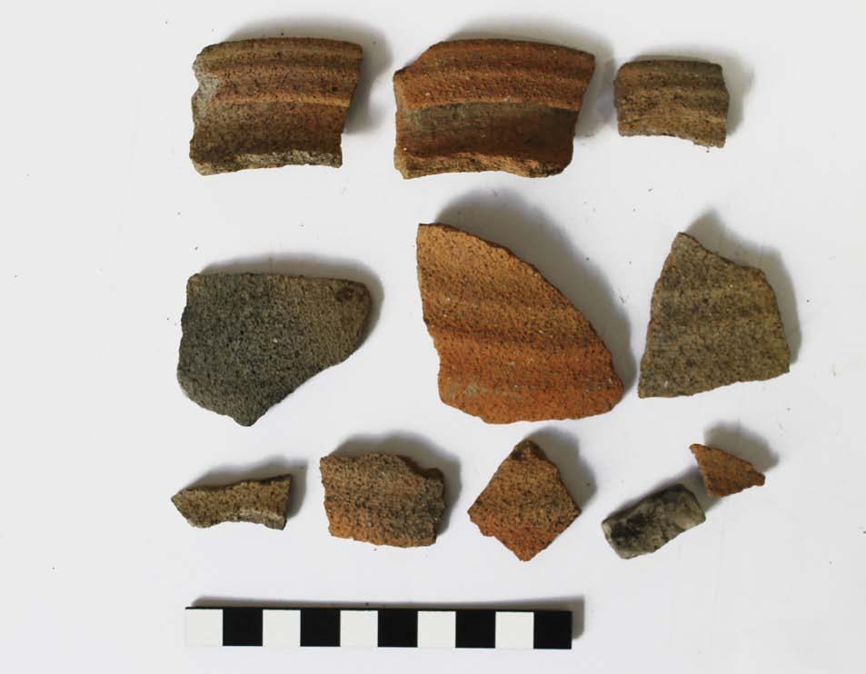 Sl. 9 Fig. 9 Ulomci keramičkih lonaca iz SJ 007A (snimila: T. Tkalčec) Fragments of ceramic pots from SU 007A (photo: T.
