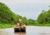 6:30 AM 9:00 AM 8:00 AM 12:00 PM A Day on the Amazon Voyage Each day in the Amazon