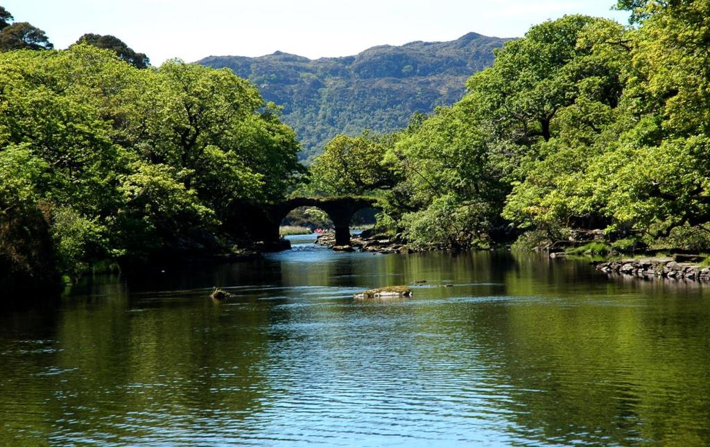 Killarney National Park Day Six: From County Clare to County Kerry This morning drive across County Clare to the Shannon Estuary for an exhilarating highspeed boat ride around this impressive