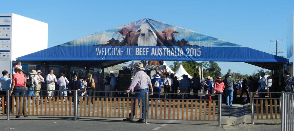 Conclusions Improving the productivity of the Australian cattle industry is a key issue for the future, particularly if Australian producers are to capitalise on the increased demand on world markets