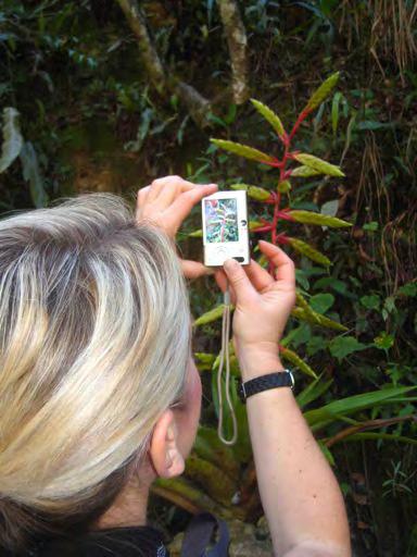 SERNANP rangers guided volunteers to a newly developing orchid garden and trail within the Machu Picchu