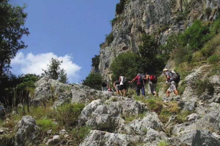 An elevation gain of 250m takes us to the path running along the valley at a height of around 500m,