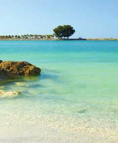 com/ Clearwater From the soft, white powder sand and clear warm waters to world-famous attractions, you will find many amazing places