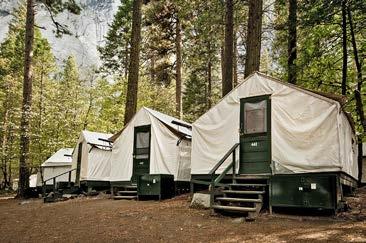 issue 23 - page 11 CAMPGROUNDS & ACCOMMODATIONS There are thirteen campgrounds in Yosemite National Park.
