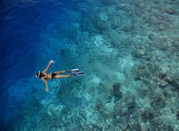 Diving and snorkelling Located in Baa Atoll, a UNESCO World