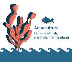 Aquaculture Challenges increase production : develop sustainable practices high-quality products improve access to space and water improve perception mobilise