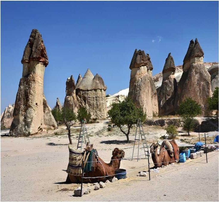 During tour Lunch at local Restaurant. Post lunch, you visit a pottery work shop, to see how to make potteries. Then you go Pasabagi where you can see three - headed fairy chimneys.