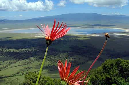 17 July Tarangire - Ngorongoro Crater Highlands Light mobile tented accommodation FBG After an early breakfast you will have time for a game drive in Tarangire National Park before continuing on to