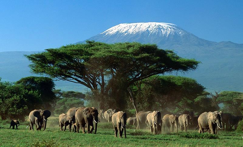 Accommodation: Eka Hotel or similar Dinner at your hotel Day 2: Nairobi Amboseli National Park After breakfast, we explore Nairobi with a visit to the Karen Blixen Museum.