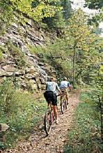 over 1000 meals a day. The Virginia Creeper Trail (VCT) in Southwestern Virginia is one of the most renowned bike trails in the United States.