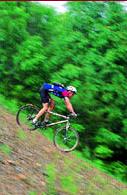WHY DEVELOP DEDICATED MOUNTAIN BIKING TRAILS? Dedicated bike trails, if properly developed, can bring new revenue into communities.