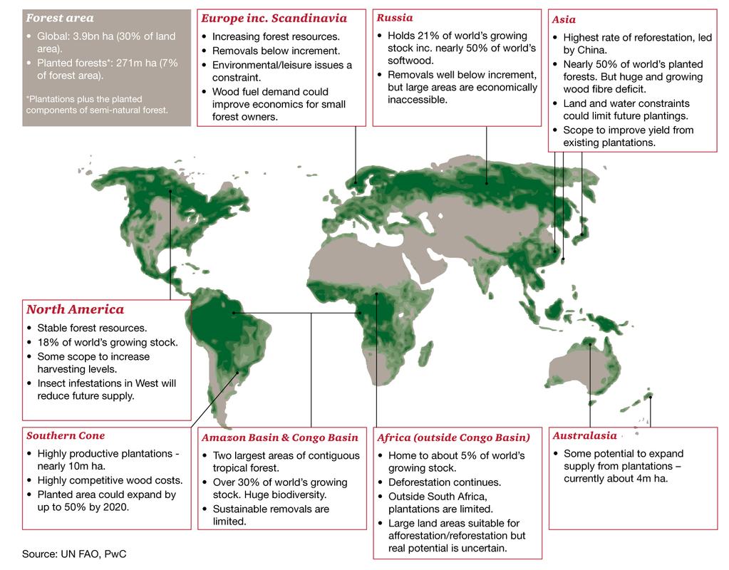 Wood Fibre Resources: Global Overview