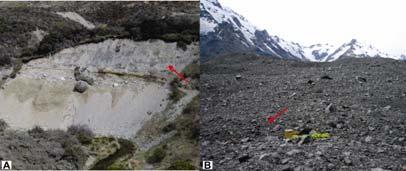 SUPPLEMENTARY FIGURE DR3. Examples of sampled rock avalanche (RA) deposits where red arrows indicate the samples points: A.
