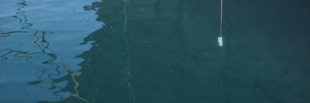 Viseće anode se stezaljkama pričvršćuju na linicu broda i spuštaju uz oplatu u more na dubinu otprilike jednakoj polovici