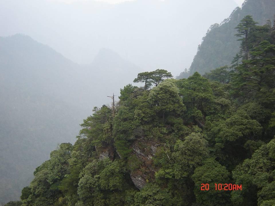 Conservation and Management of Nature Reserves in Jiangxi Province