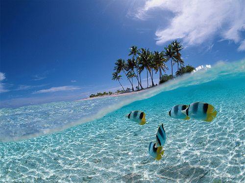 Tobago Cays Marine Park is one of the world s most inspiring island destinations.