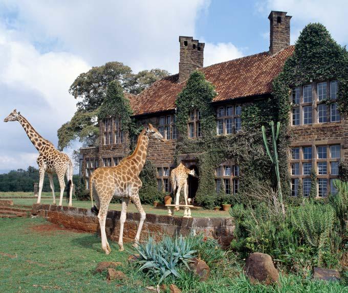 Breakfast with Giraffes Take a ride on the indoor ice slide. The next stop on your tour is Nairobi, Kenya. There, at Giraffe Manor, you will share breakfast with some very special guests.