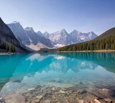 The area the town occupies is the largest inhabitable valley in the Canadian Rockies, which means more food for All Creatures Great and Small!