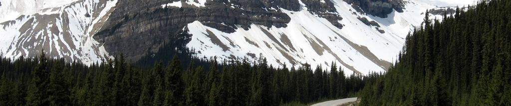 Sightseeing Highlights: FOUR National Parks: Glacier, Waterton, Banff and Jasper Icefields Parkway and Columbia