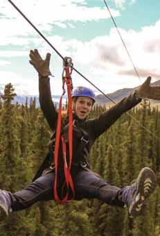 108 North of Anchorage: Denali Denali Park Zipline OTHER LISTINGS VISITOR INFORMATION Greater Healy/Denali Chamber of Commerce 683-4636, Park information 683-2294, Denali NP Reservation Service