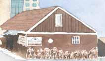 Products and the Iditarod Store. 34 30 Oomingmak Musk Ox Producers Co-operative 6 h Ave. & H St.