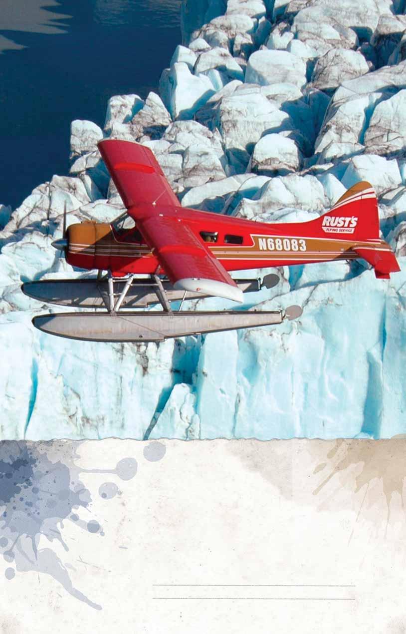 Activities Glacier & Wildlife Cruises 45