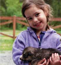 86 South of Anchorage: Seward Above - Alana Kaufman, age 3, with an adorable puppy from Seavey s Ididaride Dog Sled Tours (before she dropped him - oops!).