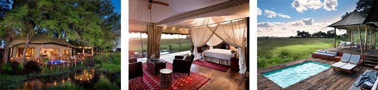 OR Duba Plains is perhaps the Okavango Delta's most remote camp. Located on a private 77,000 acre concession area, the camp is just north of the Moremi Reserve.