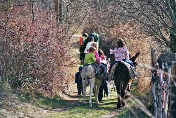 GALICIA A shorter version of our popular donkey trekking tour for Families.