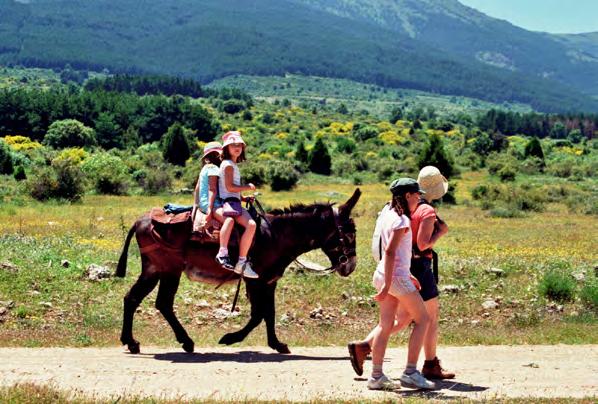 Walking in the company of a donkey will make the children go a lot further without complaints! Excellent hotels for families with swimming pools.