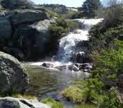 A varied itinerary; following rivers up into the Guadarrama National Park and crossing stands of juniper and oak forest on the foothills of the mountains.