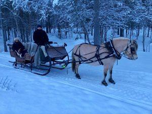 You will be picked up in Alta and driven to a farm in the nearby countryside where you will climb aboard a sleigh and get bundled up in warm blankets.