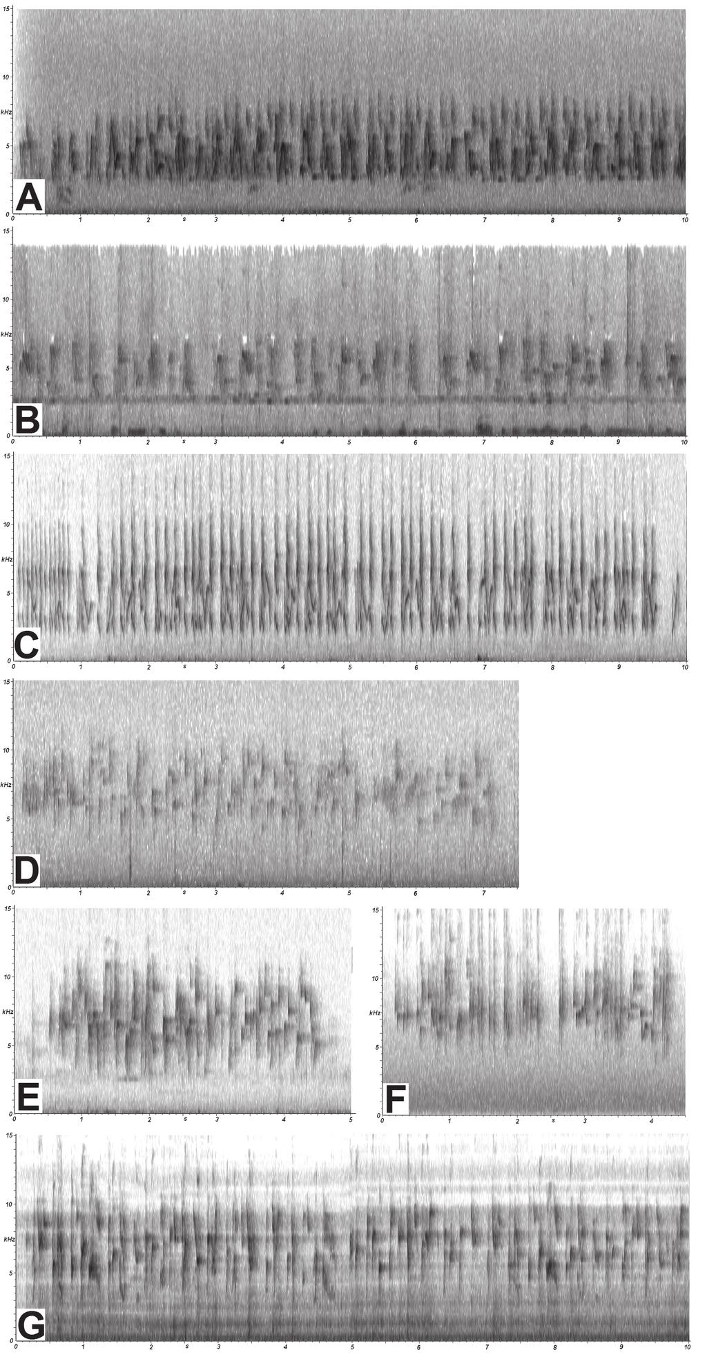 Thomas M. Donegan 94 Bull. B.O.C. 2014 134(2) Figure 6. Vocally different populations from most Three-striped Warbler Basileuterus tristriatus. Santa Marta Warbler B. basilicus: A.