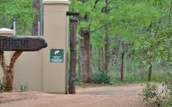 P a g e 9 Sirheni Camp in Kruger National Park is the local Shangaan word meaning 'the grave'. This camp is named thus in memory of an Elephant that died of anthrax and was buried nearby in 1959.