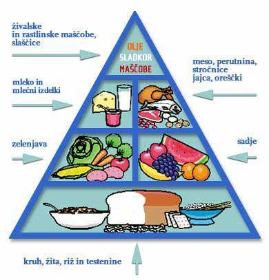 Slika 2.1.1: Stara piramida zdrave prehrane Vir: Kalček.si Grom (2012) meni, da je bila tradicionalna piramida zasnovana površno in preveč splošno.