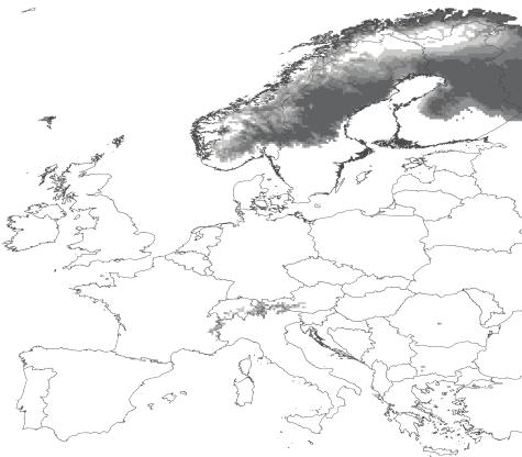 voles in Denmark since the populations here are more catholic in their habitat selection than the British populations [35]. orthern birch mouse (Sicista betulina) Figure 4.