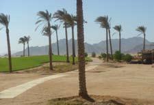 Sinai Golf Heights will offer buyers:- The 18 hole signature golf course has been designed by Ronald Fream, offering the best design that guarantees the enjoyment of players of all levels.
