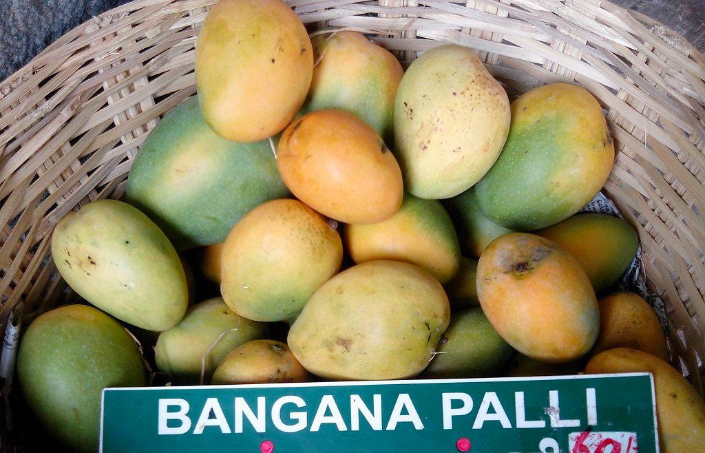 Andhra Pradesh's Banganapalle mango gets GI tag.