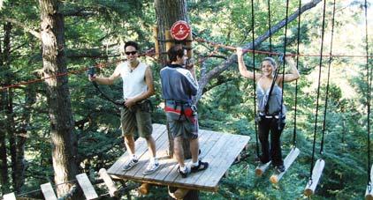 Activities as high as your ambitions Either for school or corporate groups, TreeGo Duchesnay can