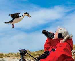 Clockwise from top right: Photographing Magellanic penguins, Falkland Islands; getting