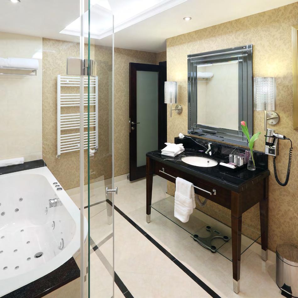 shower stall with rain shower head luxurious bathroom amenities LCD