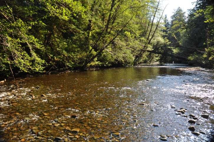 Secluded Riverfront Acreage Freehold Property within Cape Scott Provincial Park North Vancouver Island, British Columbia Located within Cape Scott Provincial Park, this 40 acre property is bisected