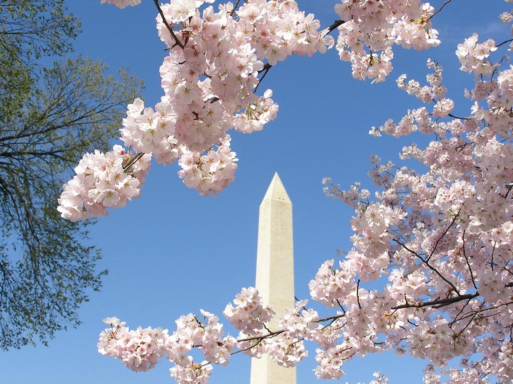 Cherry Blossoms to Broadway 20122 April 4-11, 201 Tour Includes: Perhaps the most historic corridor in our